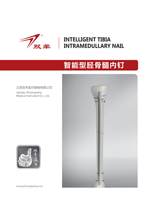 Tibia-intramedullary-nail-catalog